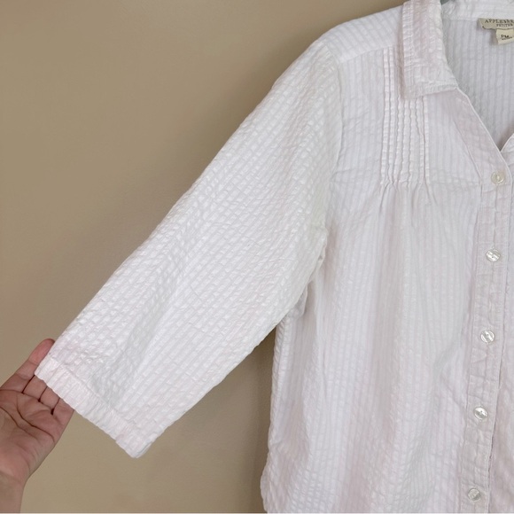 Appleseed's White Pink Striped Seersucker Shirt & Cropped Pants Set PM - Picture 4 of 13